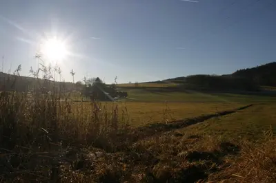 Naturlandschaft in der Nähe der Ferienwohnung
