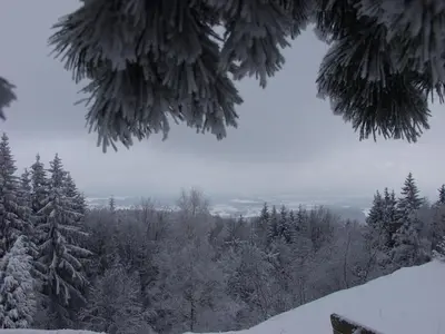 Steiner Wirt im Winter