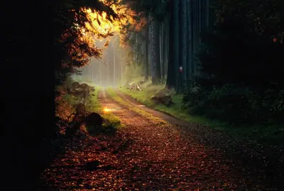 Naturlandschaft in der Nähe der Pension