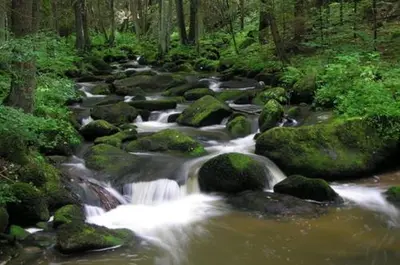 Naturlandschaft in der Nähe der Pension