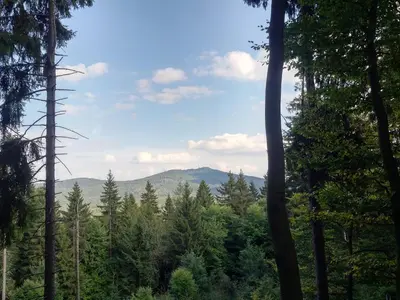 Naturlandschaft in der Nähe der Ferienwohnung