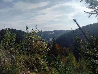 Naturlandschaft in der Nähe der Ferienwohnung