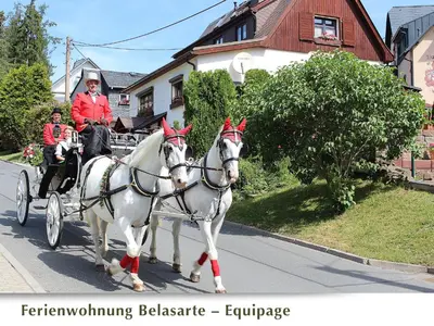 Gäste, die in der Unterkunft Ferienwohnung Belasarte übernachten