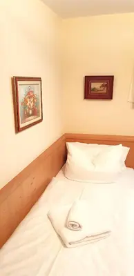 Ein Bett oder Betten in einem Zimmer der Unterkunft Villa Helvetia
