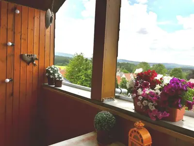 Ein Balkon oder eine Terrasse in der Unterkunft Ferienwohnung Schwalbennest