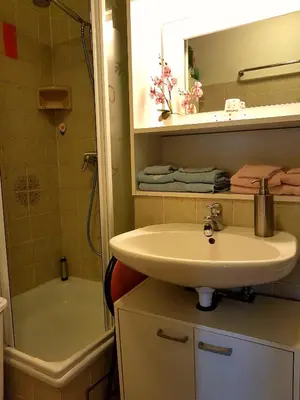 Ein Badezimmer in der Unterkunft Ferienwohnung Schwalbennest