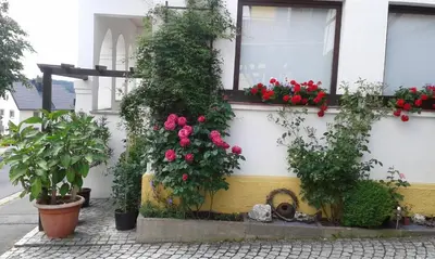 Ein Garten an der Unterkunft Ferienwohnung 