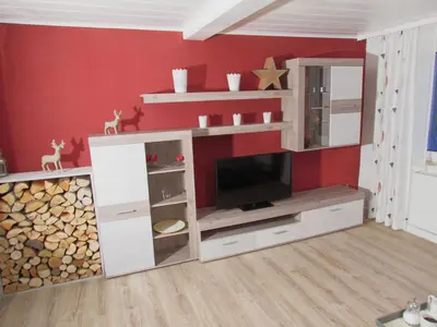 TV/Unterhaltungsangebot in der Unterkunft Ferienwohnung 