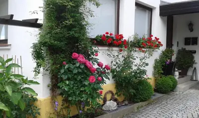 Ein Garten an der Unterkunft Ferienwohnung 