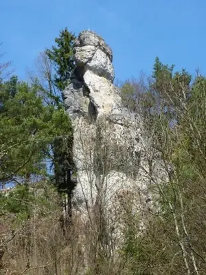 Naturlandschaft in der Nähe der Pension