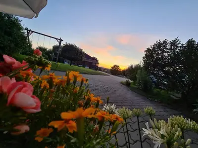Ein Garten an der Unterkunft Ferienwohnung Haus Inge