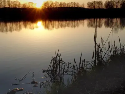 Naturlandschaft in der Nähe der Ferienwohnung