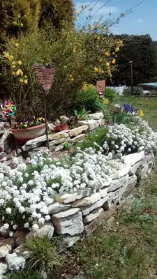 Ein Garten an der Unterkunft Apartment mit Gartenblick