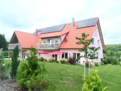 Ein Garten an der Unterkunft Pension am Kirschgarten