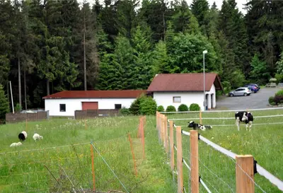 Naturlandschaft in der Nähe des Ferienhauses