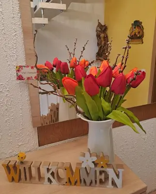 Grundriss der Unterkunft Ferienwohnung Karlsruh