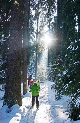 Ferienwohnungen Familie Fuss im Winter