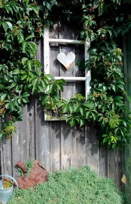 Ein Garten an der Unterkunft Ferienwohnung-Kappl