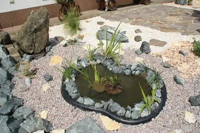 Ein Garten an der Unterkunft Ferienwohnung Jessica