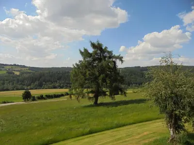 Naturlandschaft in der Nähe der Ferienwohnung