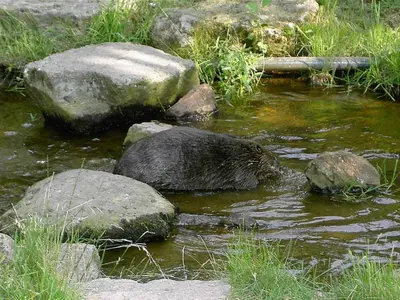 Naturlandschaft in der Nähe der Ferienwohnung