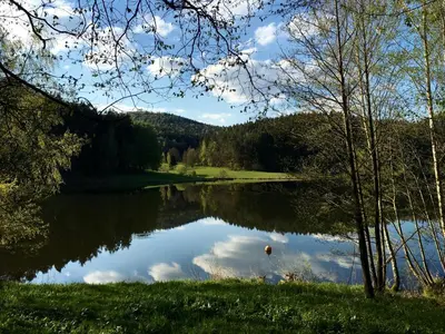 Naturlandschaft in der Nähe der Ferienwohnung