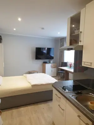 Küche/Küchenzeile in der Unterkunft Hausner`s Hotel- Studio Apartments