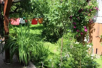 Ein Garten an der Unterkunft Ferienwohnung Langenstadt