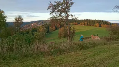 Naturlandschaft in der Nähe der Ferienwohnung