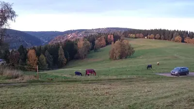 Naturlandschaft in der Nähe der Ferienwohnung
