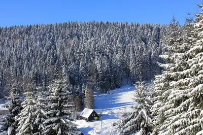 Ferienhaus Anno Dazumal, wie zu Opa`s Zeiten im Winter