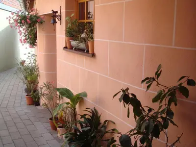 Ein Garten an der Unterkunft Haus am Markt