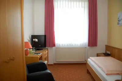 TV/Unterhaltungsangebot in der Unterkunft Hotel Goldner Anker