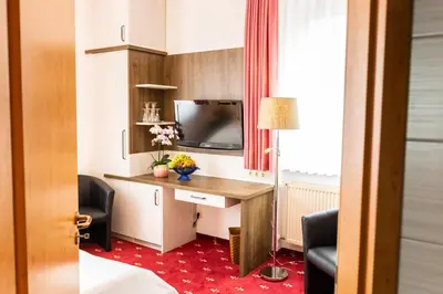TV/Unterhaltungsangebot in der Unterkunft Hotel Goldner Anker