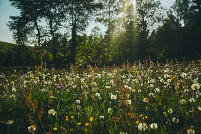 Naturlandschaft in der Nähe der Ferienwohnung