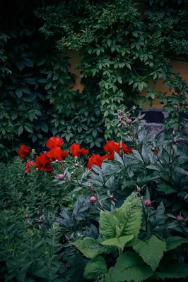 Ein Garten an der Unterkunft Blickinsfreie