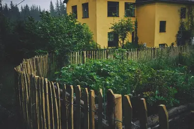Ein Garten an der Unterkunft Blickinsfreie
