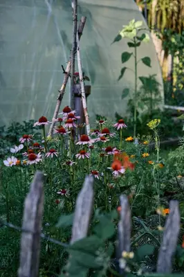 Ein Garten an der Unterkunft Blickinsfreie