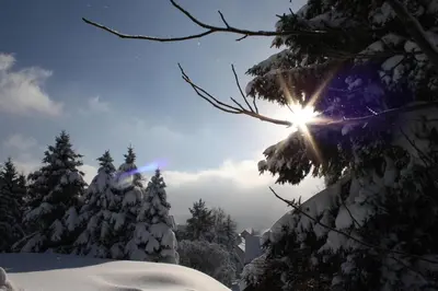 Ferienzimmer König im Winter