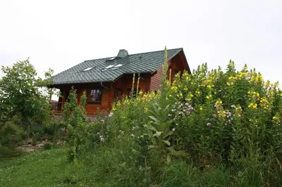 Ein Garten an der Unterkunft Ferienzimmer König