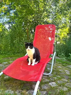 Haustiere von Gästen der Unterkunft Ferienzimmer König