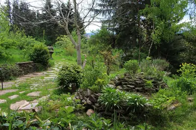 Ein Garten an der Unterkunft Ferienzimmer König