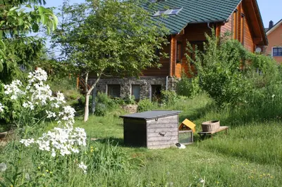 Ein Garten an der Unterkunft Ferienzimmer König