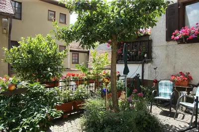 Ein Garten an der Unterkunft Haus Jutta