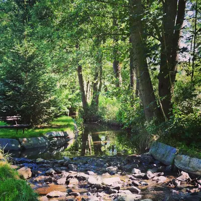 Naturlandschaft in der Nähe des Hotels