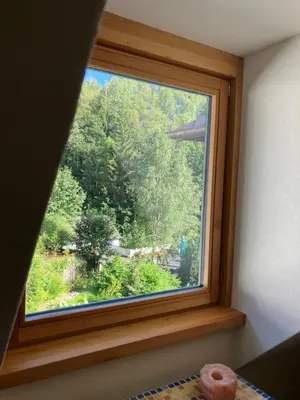 Ein Garten an der Unterkunft Grünlasmühle