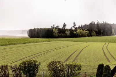 Naturlandschaft in der Nähe der Ferienwohnung