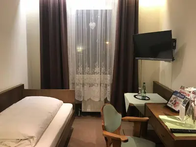 TV/Unterhaltungsangebot in der Unterkunft Gasthof & Hotel Goldener Hirsch