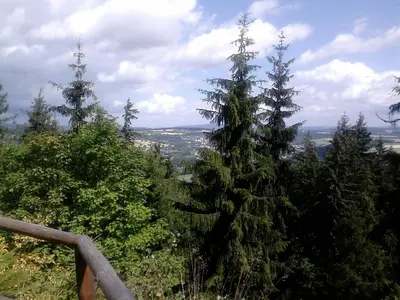 Naturlandschaft in der Nähe der Ferienwohnung
