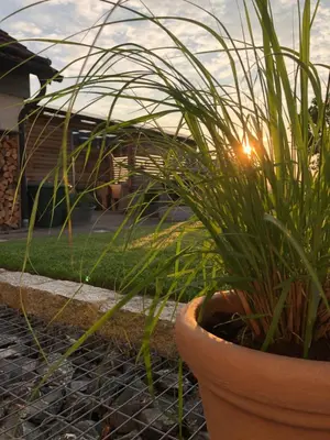 Ein Garten an der Unterkunft Ferienwohnung Thiergarten